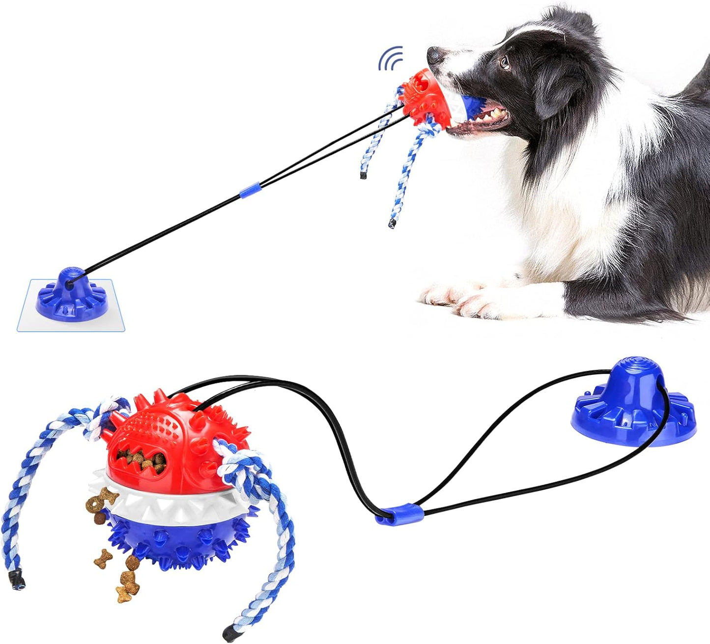 Interactive Teething Boredom and Stimulating Tug of War Suction Cup